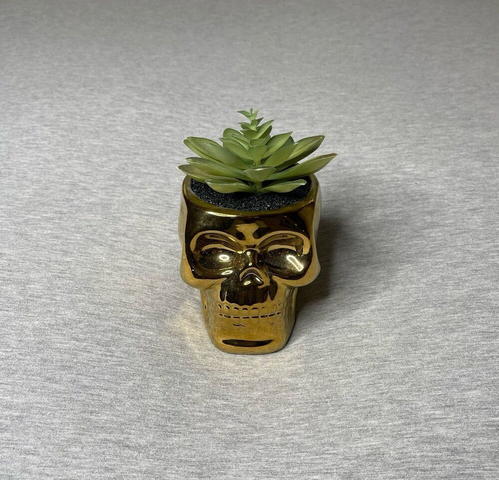 Flora Bunda Met Gold Skull Succulent Plant Desk Decor